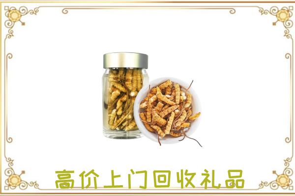版纳周边回收虫草